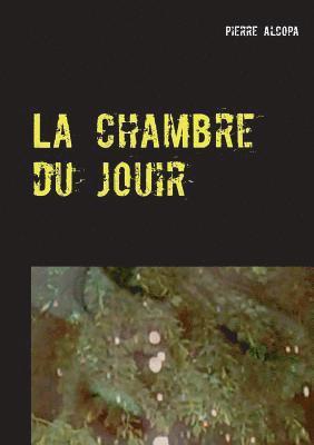 bokomslag La chambre du jouir