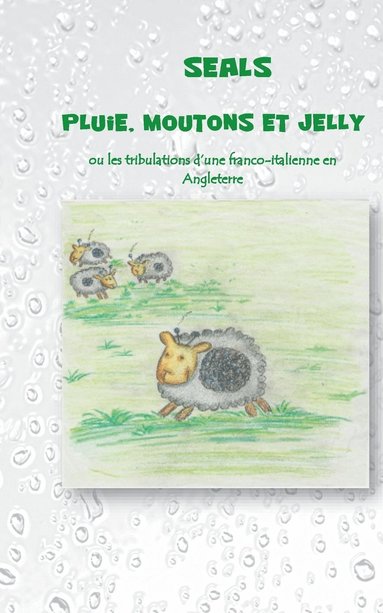 bokomslag Pluie, moutons et jelly