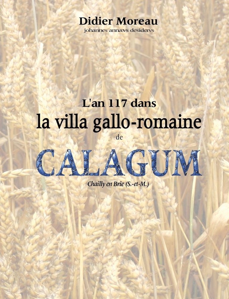 L'an 117 dans la villa gallo-romaine de Calagum 1