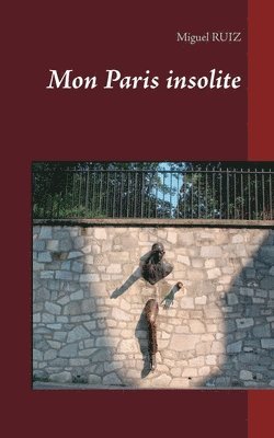 Miguel Ruiz - Mon Paris insolite, Häftad