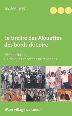 Le tirelire des Alouettes des bords de Loire 1