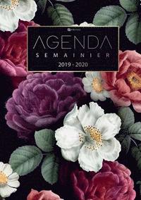 bokomslag Agenda Semainier 2019 2020 - Agenda de Poche et Calendrier Aot 2019  Dcembre 2020 Agenda Journalier