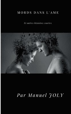 bokomslag Mords dans l'âme