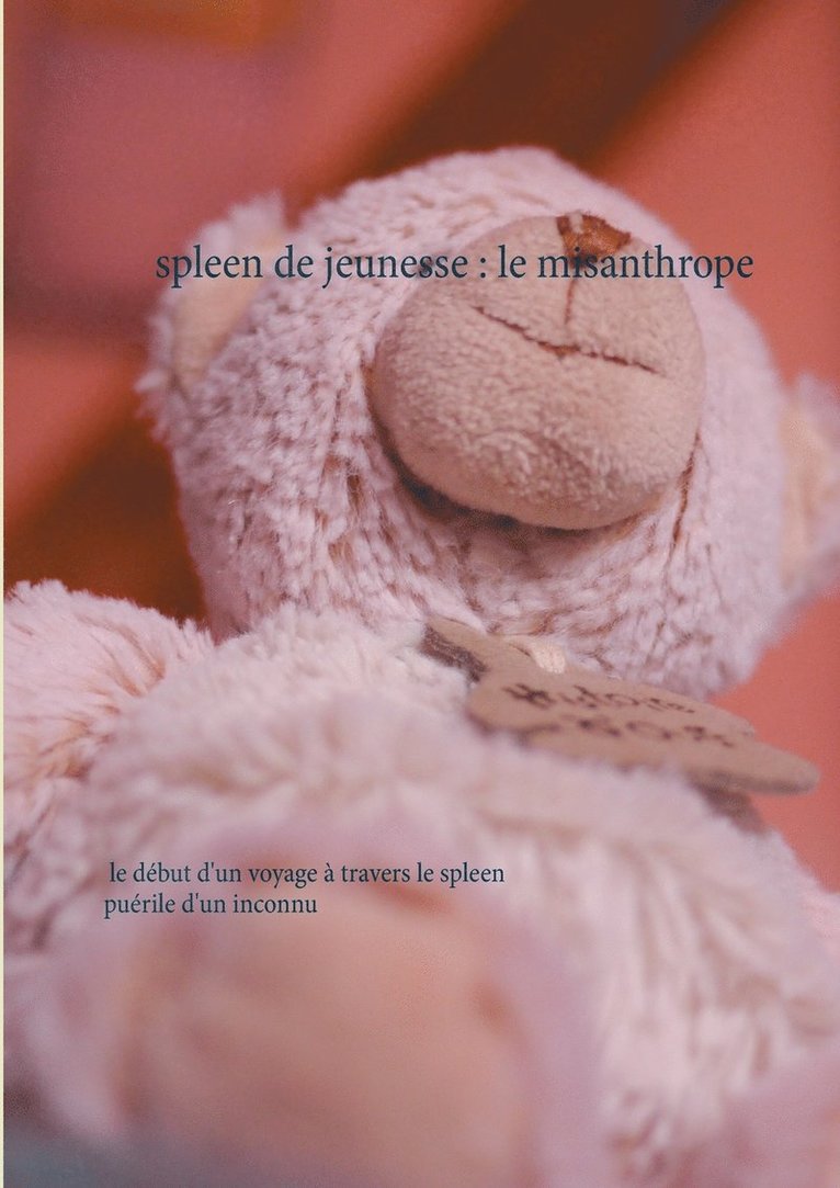 spleen de jeunesse 1