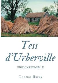 bokomslag Tess d'Urberville