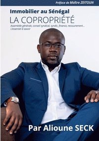 bokomslag Immobilier au Sénégal