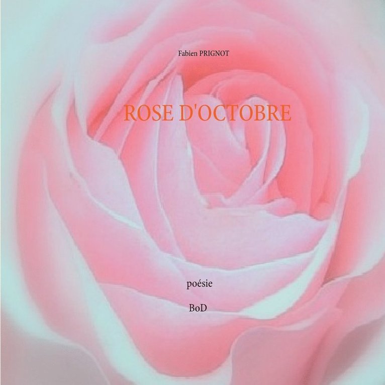 Rose d'octobre 1