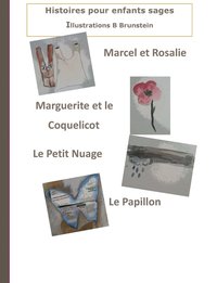 bokomslag Histoires pour enfants sages