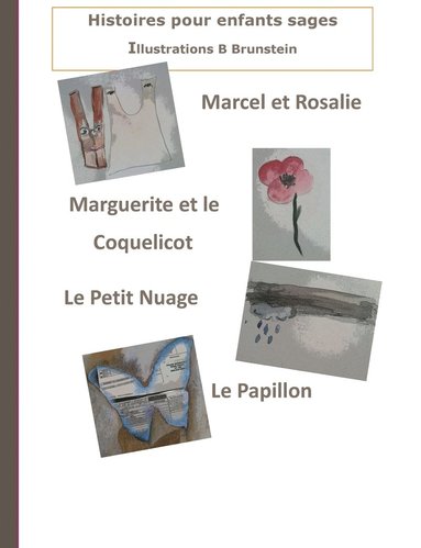bokomslag Histoires pour enfants sages