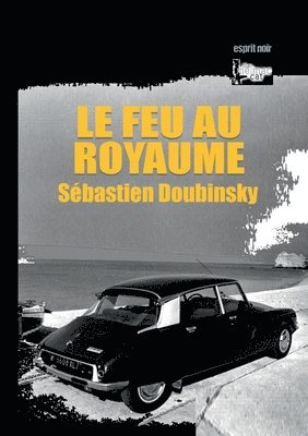 Sébastien Doubinsky - feu au royaume, Häftad