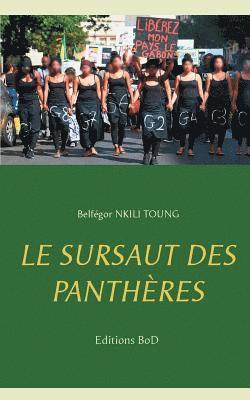 Le sursaut des panthres 1