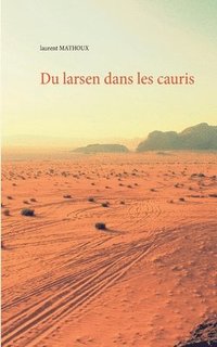 bokomslag Du larsen dans les cauris