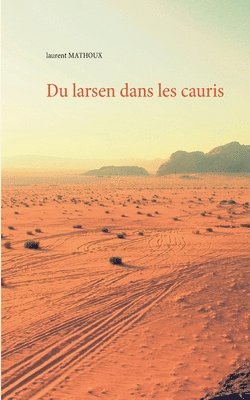 bokomslag Du larsen dans les cauris