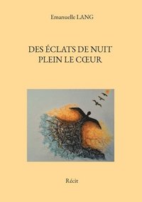 bokomslag Des eclats de nuit plein le coeur