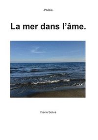 bokomslag La mer dans l'me