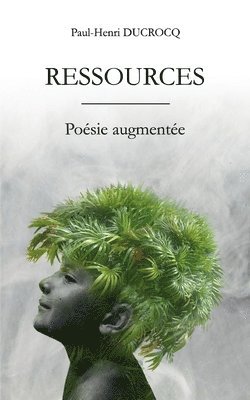 bokomslag Ressources