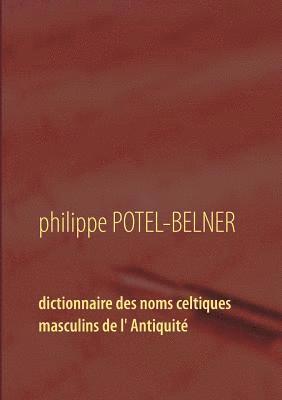 bokomslag Dictionnaire des noms celtiques masculins de l' Antiquité