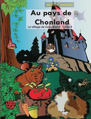 bokomslag Au pays de Chonland, le village de Grouikland