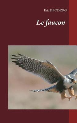 Eric Kpodzro - faucon, Häftad