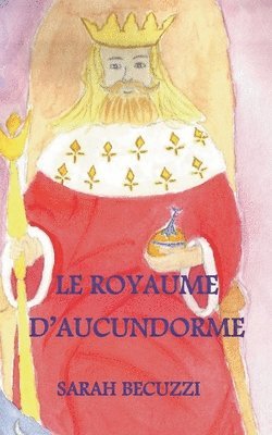 bokomslag royaume d'Aucundorme