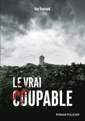 Le vrai coupable 1