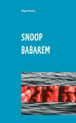 bokomslag Snoop Babarem