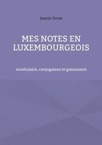 bokomslag Mes notes en luxembourgeois