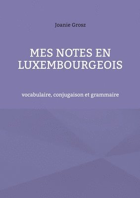 Mes notes en luxembourgeois 1