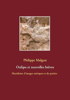 bokomslag Oulipo et nouvelles brves