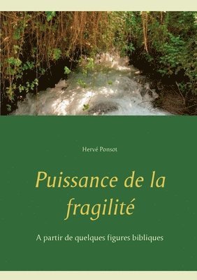 bokomslag Puissance de la fragilité