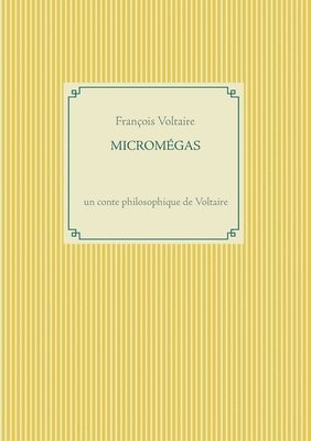 bokomslag Micromégas