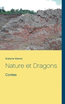 bokomslag Nature et Dragons