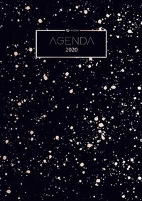 bokomslag Agenda 2020 - Planificateur, Organiseur et Calendrier 2020 - Agenda Journalier et Agenda Semainier - Agenda de Poche