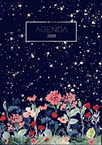 bokomslag Agenda 2020 - Agenda de Poche et Planificateur 2020 - Organiseur et Calendrier 2020 - Agenda Journalier et Agenda Semainier