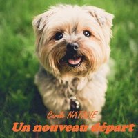 bokomslag nouveau départ