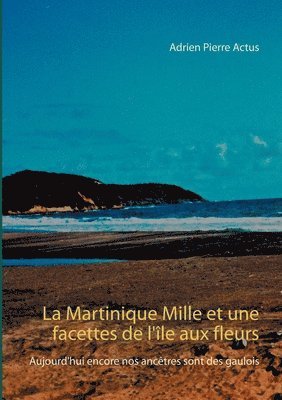 bokomslag Martinique Mille et une facettes de l'île aux fleurs