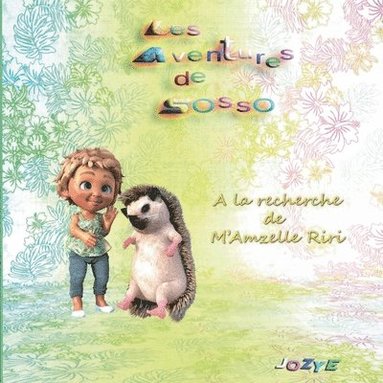 bokomslag Les Aventures de Sosso