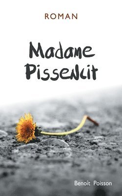 bokomslag Madame Pissenlit