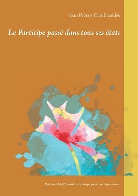 bokomslag Participe passé dans tous ses états