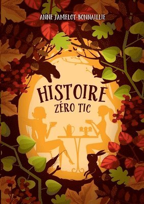 bokomslag Histoire zro tic