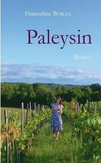 bokomslag Paleysin