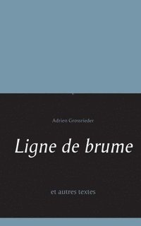 bokomslag Ligne de brume