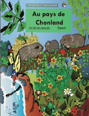 bokomslag Au pays de Chonland, Un ete de canicule