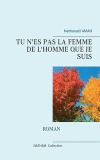 bokomslag Tu n'Es Pas La Femme de l'Homme Que Je Suis