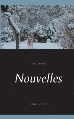 bokomslag Nouvelles