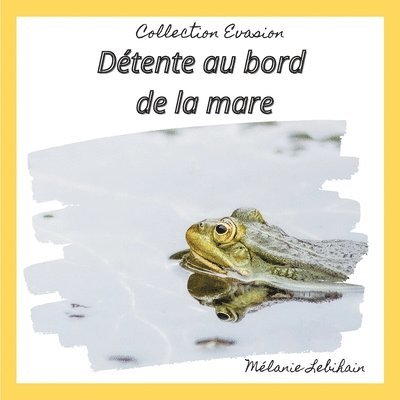 Détente au bord de la mare