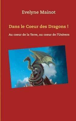 bokomslag Dans le coeur des Dragons !