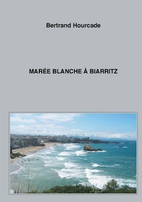 Mare blanche  Biarritz 1