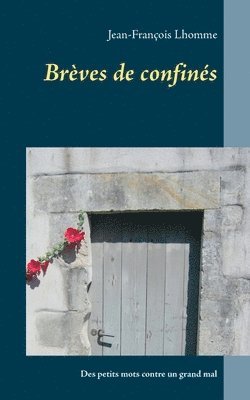 bokomslag Brèves de confinés