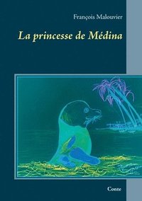 bokomslag princesse de Médina